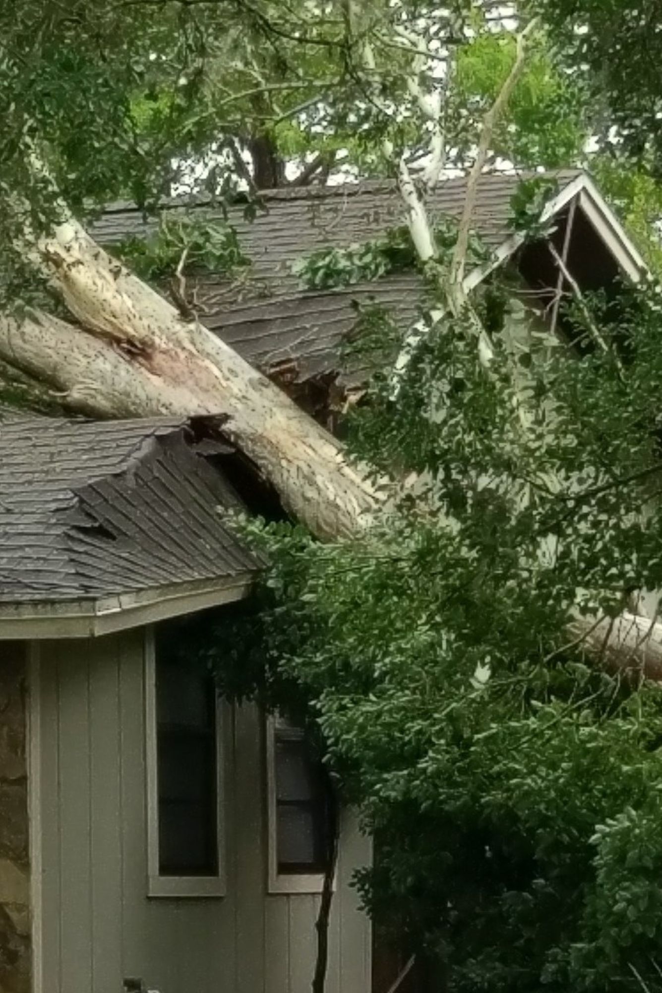 Untitled design (18)